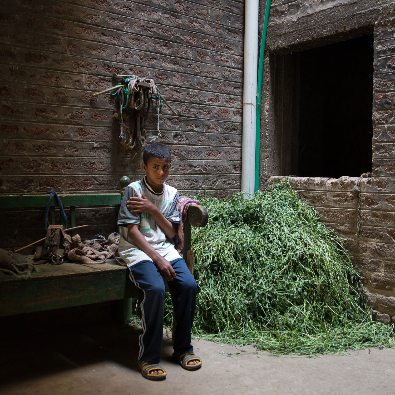     Before the sanitation connection, Ahmed's family reports that the house was infested with bugs and roaches and that the kids were always sick. Now it is better because the house is clean.      Photo for USAID/Egypt.  